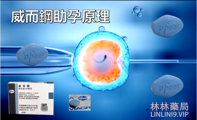 1716304058861871.png image.png