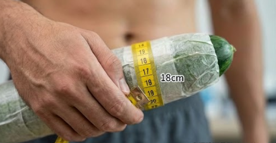 男人的大器晚成：藥師解析「陰莖增大增粗」的科學原理與長效補腎調理指南